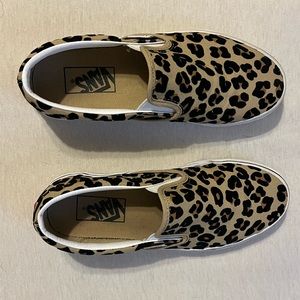 Cheetah vans